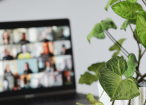 Auf dem Bild ist im rechten Bildteil eine Pflanze zu sehen. Im linken Bildteil ist im Hintergrund ein Laptop mit verschwommenen Kacheln eines digitalen Meetings zu sehen.